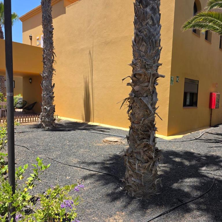 Casa Manba, terrace, pool and wifi - Apartamento - 22