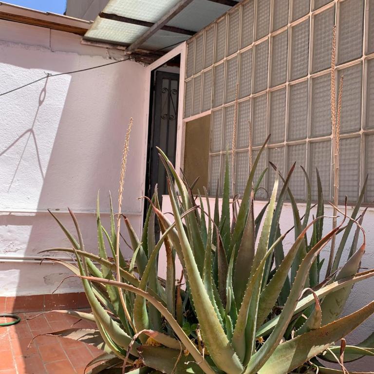 MarBarcelona Coliving Aviacio - Habitación Doble con baño compartido - 13