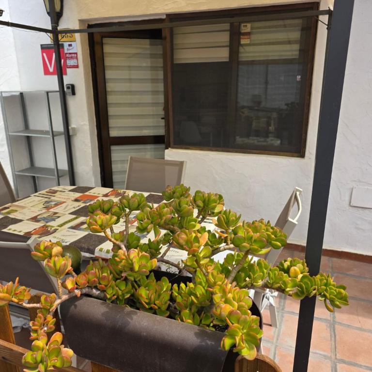Casa Samba, 2 bedrooms and pool - Apartment - 16