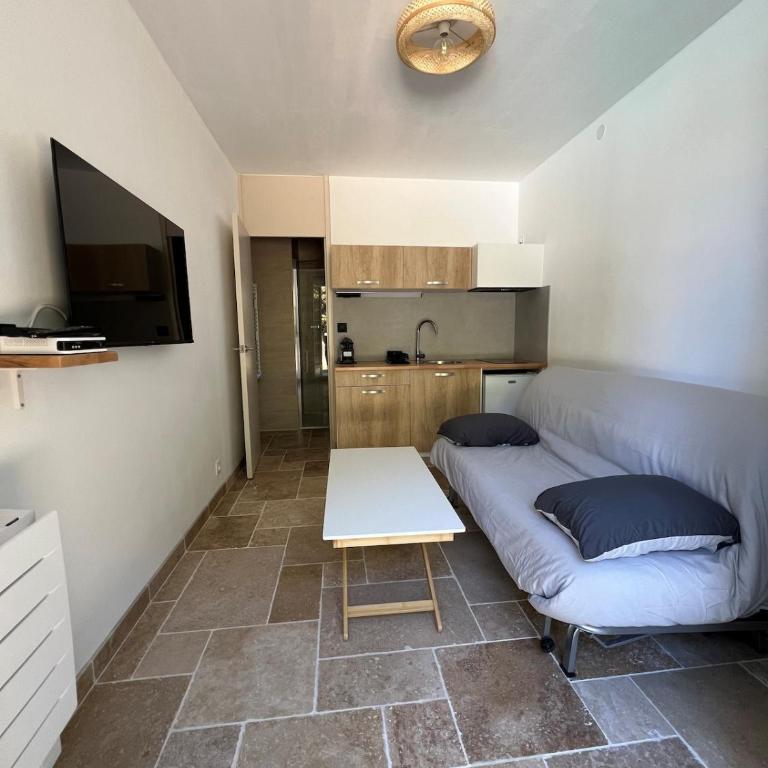 Charming air-conditioned studio with private pool - Appartement 1 Chambre - 5