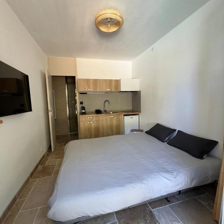 Charming air-conditioned studio with private pool - Appartement 1 Chambre - 14