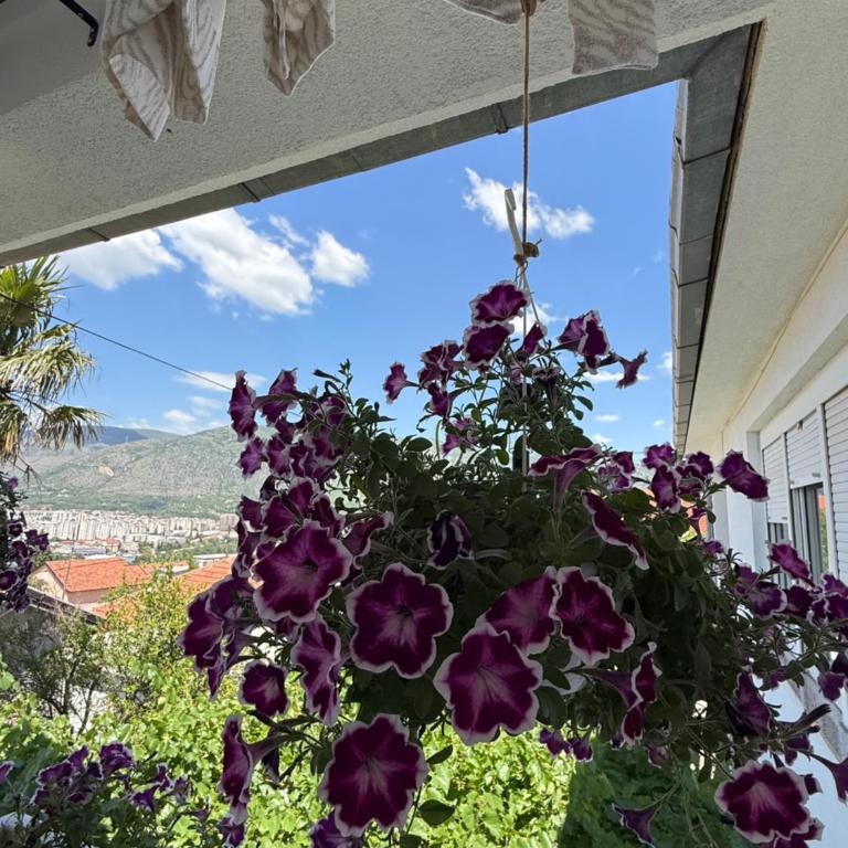 Villa Magnifica - Vila sa 1 Spavaćom Sobom - 12