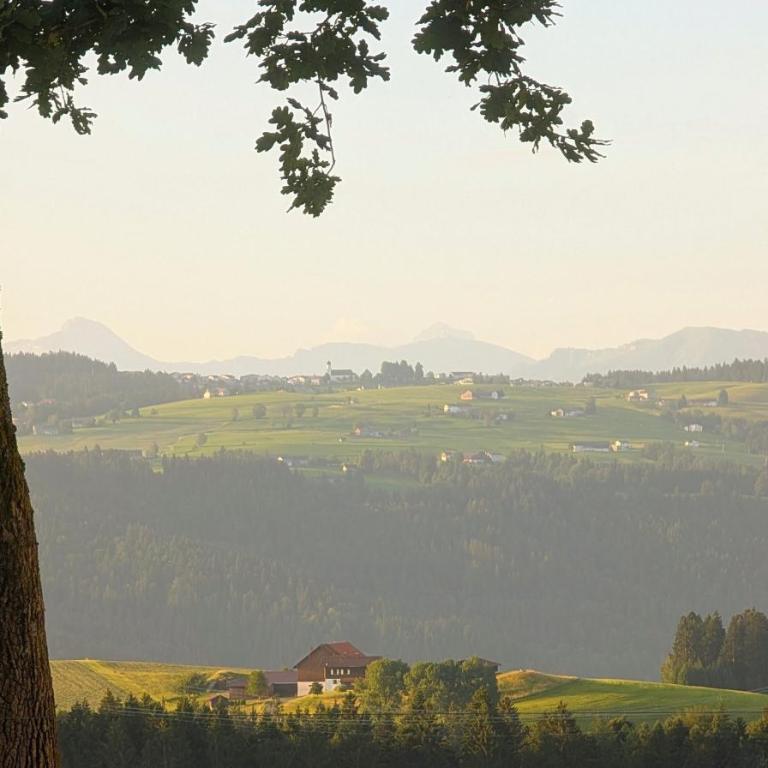 Ferienwohnung BergLiebe mit Alpenblick - Appartamento con 1 Camera da Letto - 9