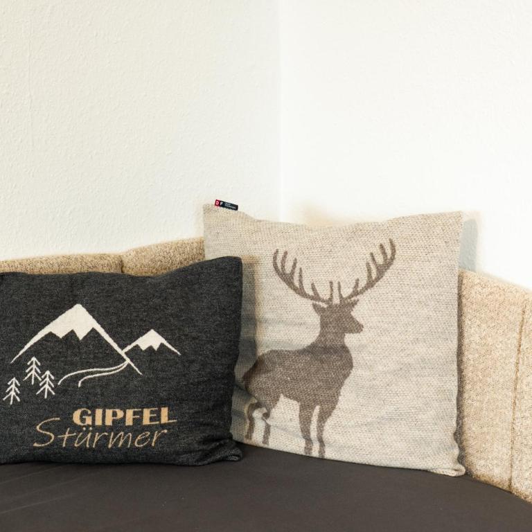 Ferienwohnung BergLiebe mit Alpenblick - Appartamento con 1 Camera da Letto - 17