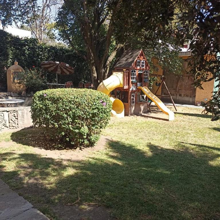 Woodland in the city, huge garden - One-Bedroom Apartment - 7