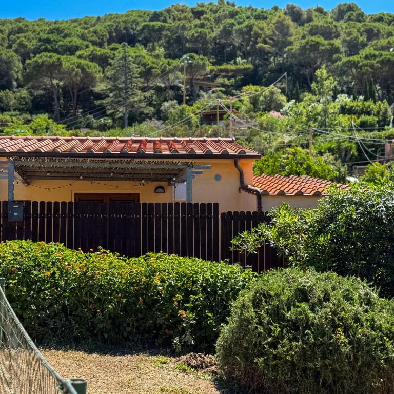 Saraghina - HelloElba - Appartamento con 1 Camera da Letto - 1