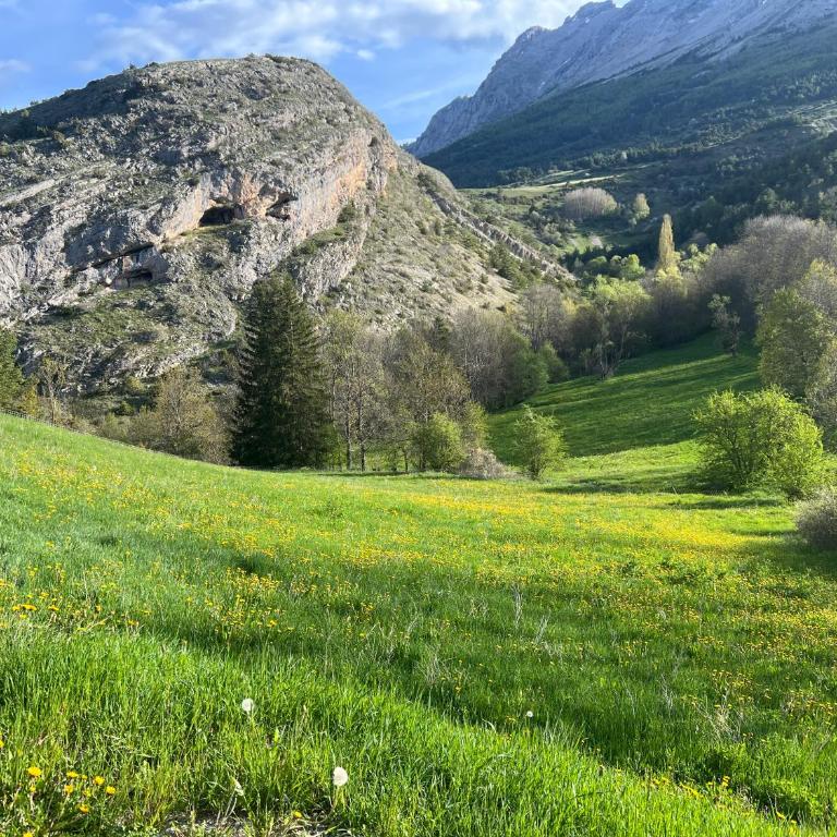 Ours Brun 2 - Appartement 2 Chambres - 2