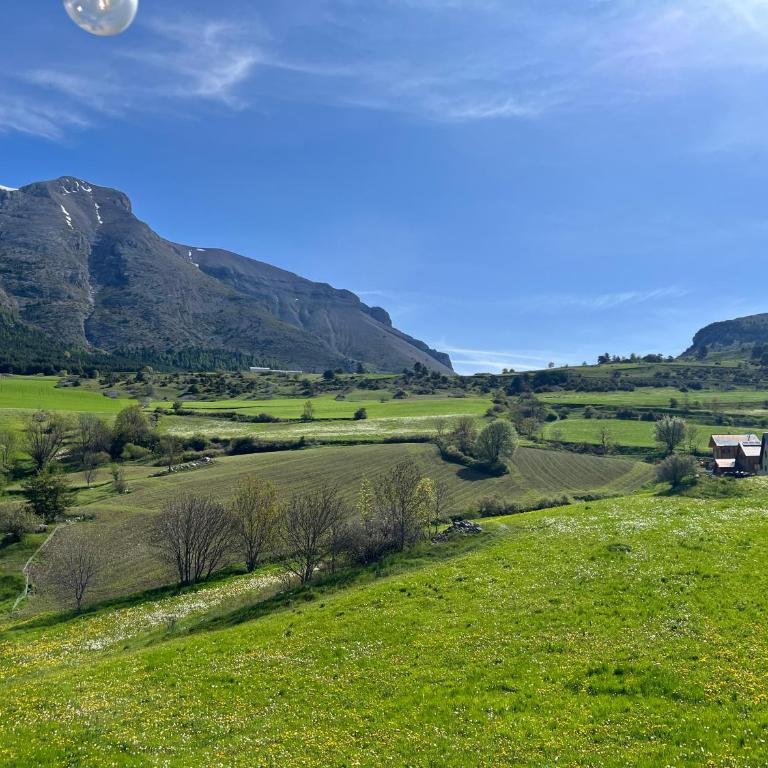 Ours Brun 2 - Appartement 2 Chambres - 12