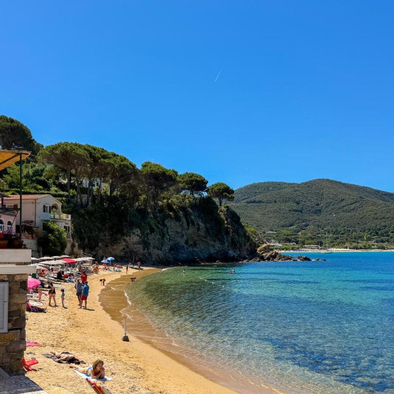 Saraghina - HelloElba - Appartamento con 1 Camera da Letto - 5