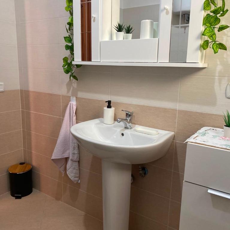 Oleander House - Standard Dreibettzimmer - 3
