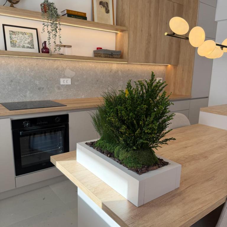 Aura Apartment - Apartment mit 2 Schlafzimmern - 3
