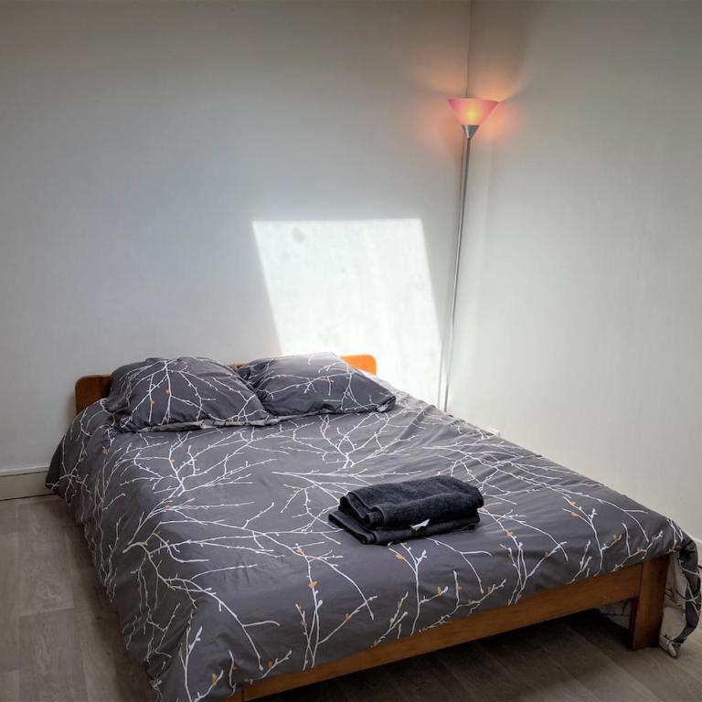 Duplex dans l'hypercentre de Limoges - Apartment mit 1 Schlafzimmer - 7