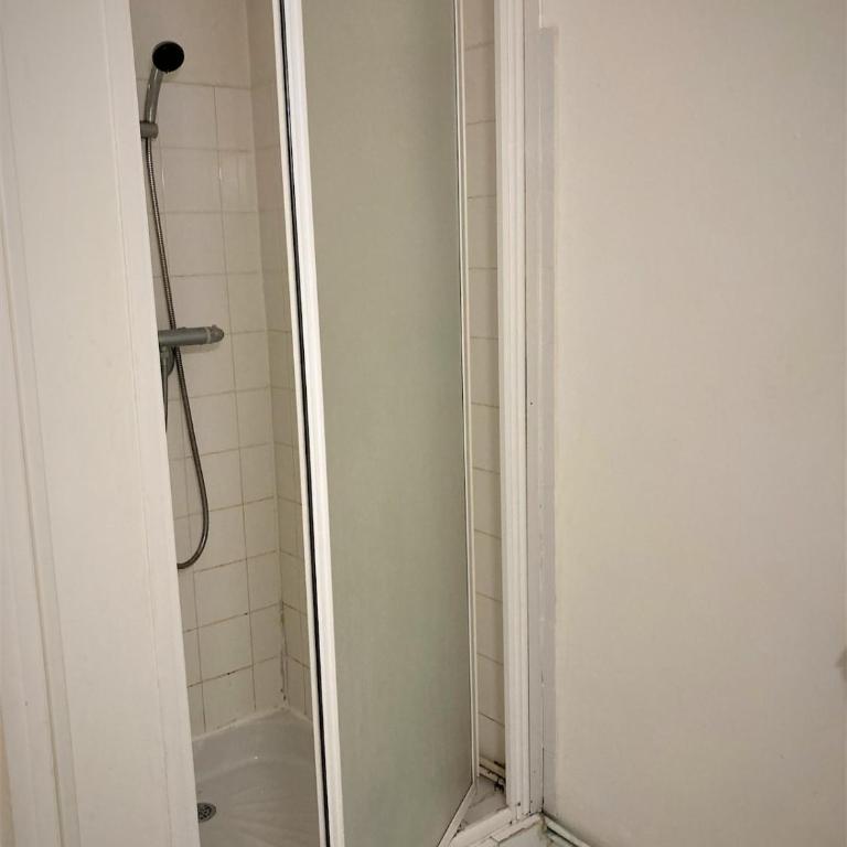 Duplex dans l'hypercentre de Limoges - Apartment mit 1 Schlafzimmer - 12
