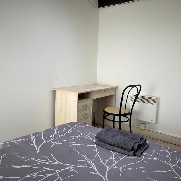 Duplex dans l'hypercentre de Limoges - Apartment mit 1 Schlafzimmer - 14