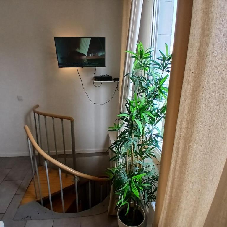 Quiet air-conditioned apartment - Apartment mit 2 Schlafzimmern - 9