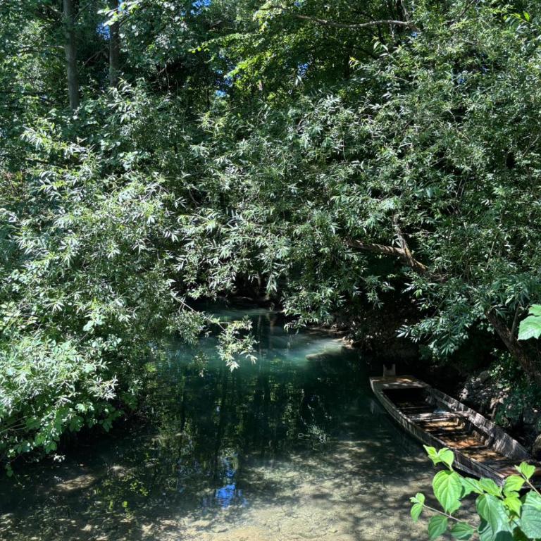 Pure Nature - Kuća sa 1 Spavaćom Sobom - 28