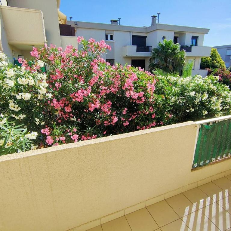 Appartement T2 parking climatisation, lumineux et moderne - 4VOIL245 - - Apartment mit 1 Schlafzimmer - 11