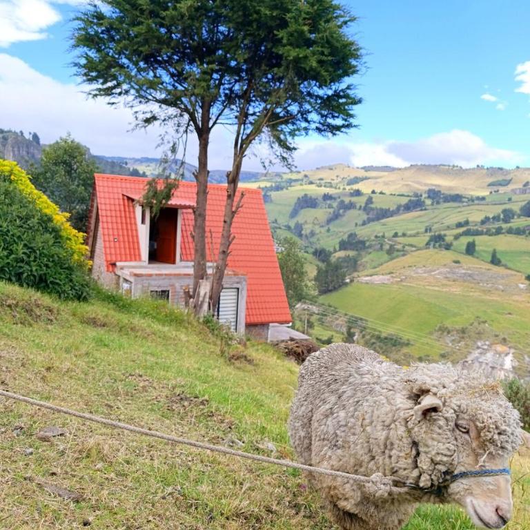 Salinas Glamping - Two-Bedroom Chalet - 19