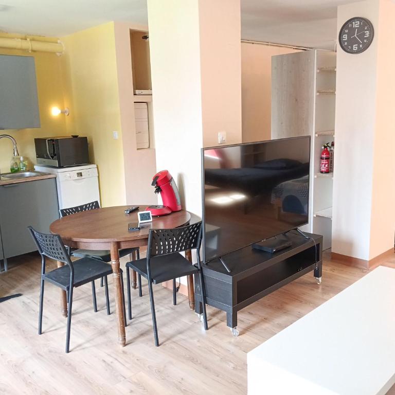 Loft EDF CEA DTG UFPI SCHNEIDER - Appartement 2 Chambres - 29
