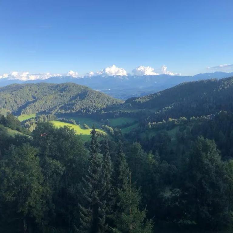 Fernblick Appartement Simonhöhe - Apartment mit 2 Schlafzimmern - 43