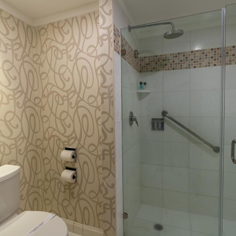 Barcelo Guadalajara - Suite Premium Level - 6