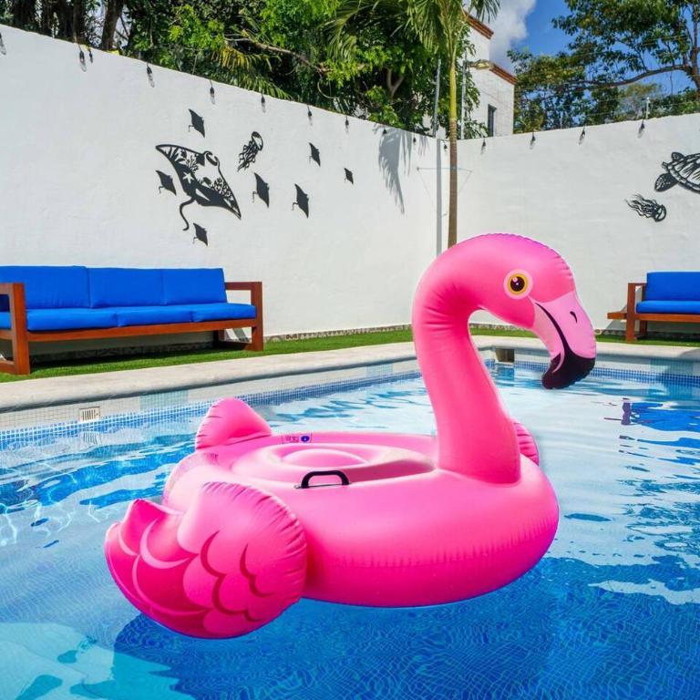 Private Pool - 4 Bedroom Villa - Great Location - Villa - 35