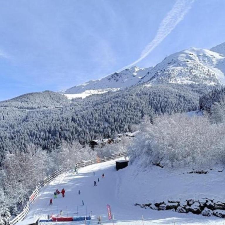 Le Cocon des Grands Prapoutel Les 7 Laux - One-Bedroom Apartment with View - 19
