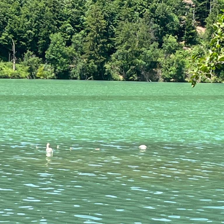 Casa Iris 9074 Keutschacher See in Rauth - Apartment mit 1 Schlafzimmer - 36