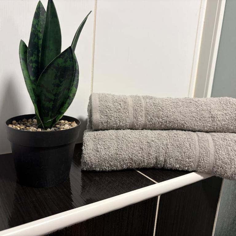 Studio apartment Hana - Apartment mit 1 Schlafzimmer - 7