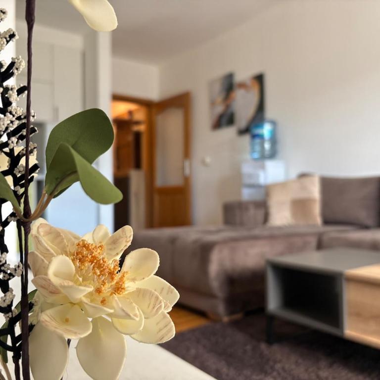 Studio apartment Hana - Apartment mit 1 Schlafzimmer - 8