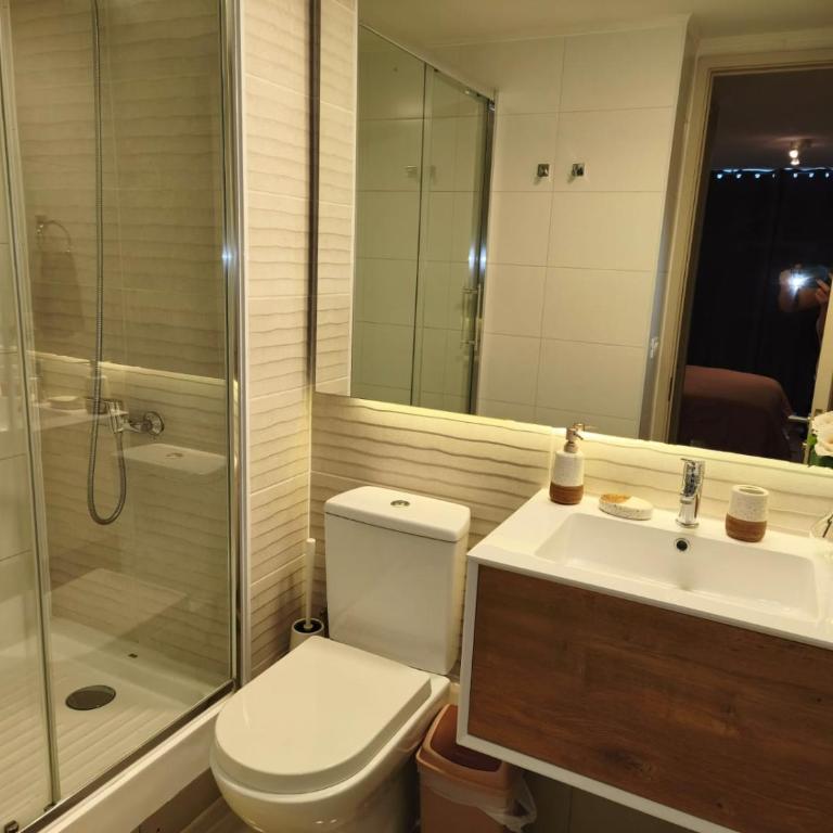 Departamento en Santiago - Two-Bedroom Apartment - 21