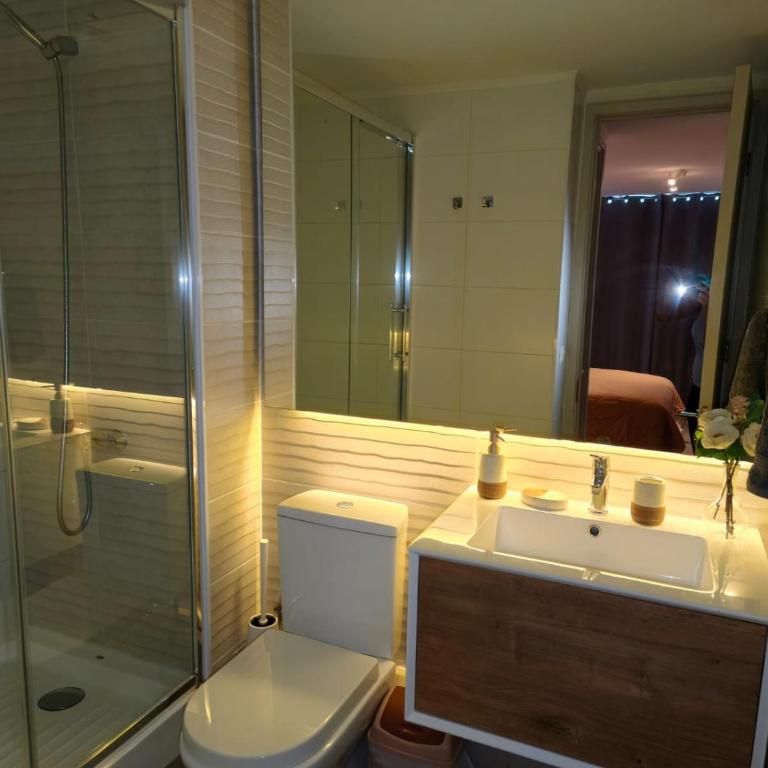 Departamento en Santiago - Two-Bedroom Apartment - 22