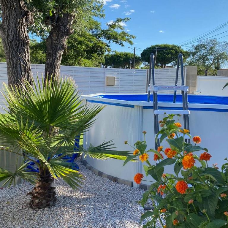Villa Carla F2 piscine privée clim plage au calme 3 pers max Grau d Agde - Maison 1 Chambre - 2