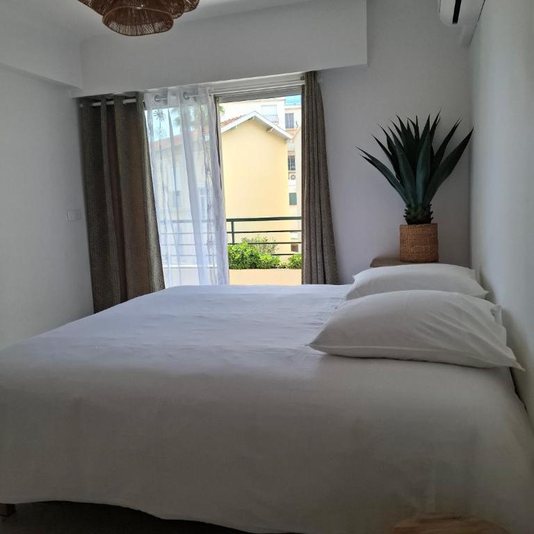 Cannes à Pied - Appartement 1 Chambre - 2