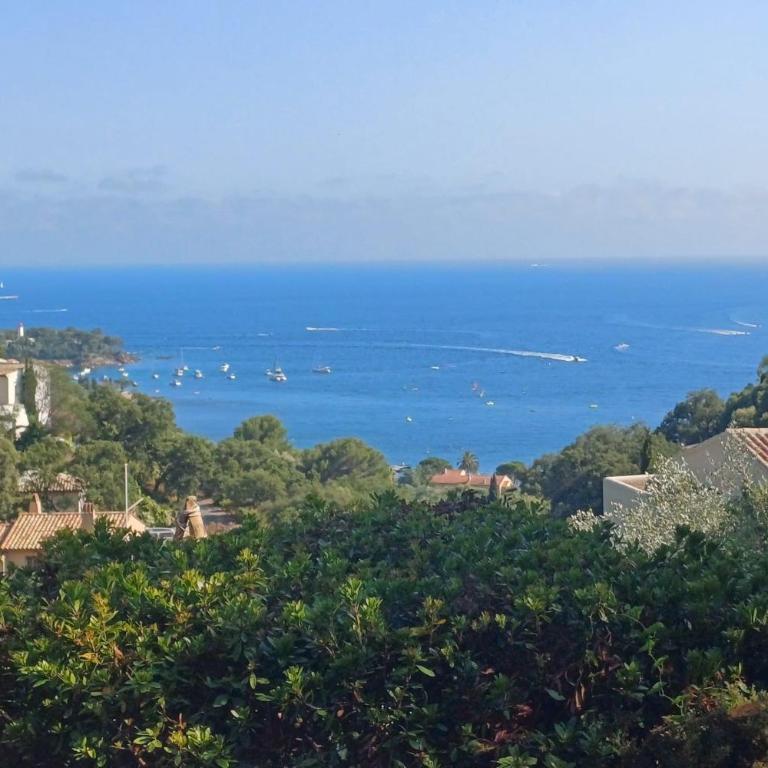 Family villa in wooded estate near the sea - Casa - 20