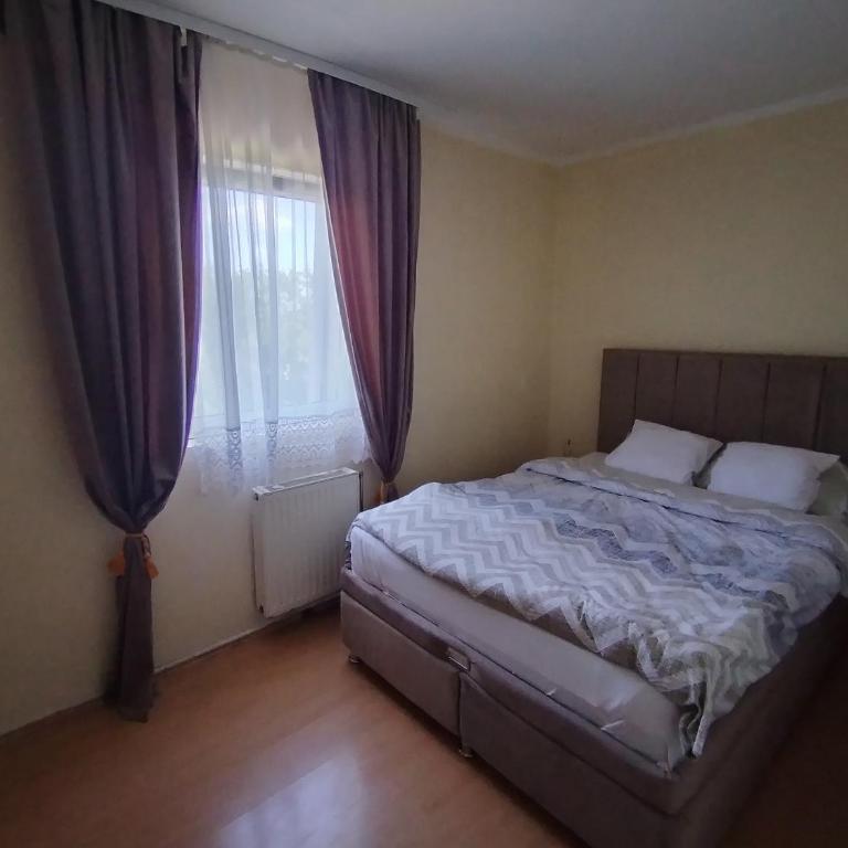 Georgije's apartment - Apartman sa 1 Spavaćom Sobom - 3