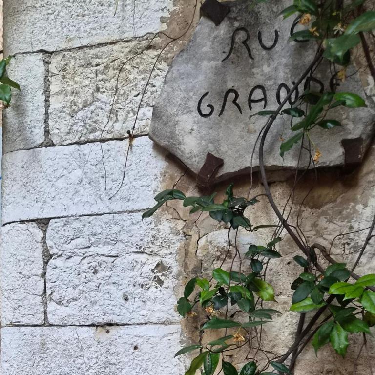 Charming Air-Conditioned Flat in Saint-Paul-de-Vence village - Appartamento con 1 Camera da Letto - 23