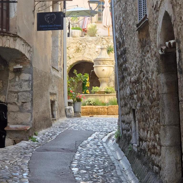 Charming Air-Conditioned Flat in Saint-Paul-de-Vence village - Appartamento con 1 Camera da Letto - 24