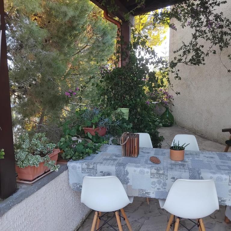 Casa Vacanze Salento Mondonuovo Countryhouse Nardò Lecce - Casa con 2 Camere da Letto - 4