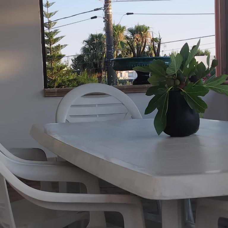 Casa Vacanze Salento Mondonuovo Countryhouse Nardò Lecce - Casa con 2 Camere da Letto - 6