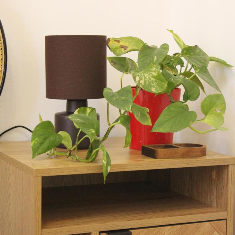 Domus sfera - Apartamento de 2 dormitorios - 7