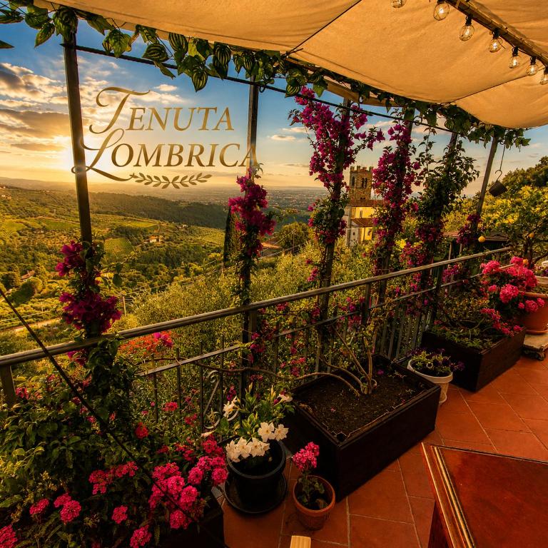 Tenuta Lombrica - Casa con 3 Camere da Letto - 20