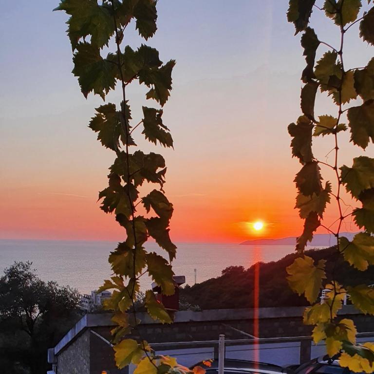 Apartman Alba - Apartman sa 2 Spavaće Sobe - 4