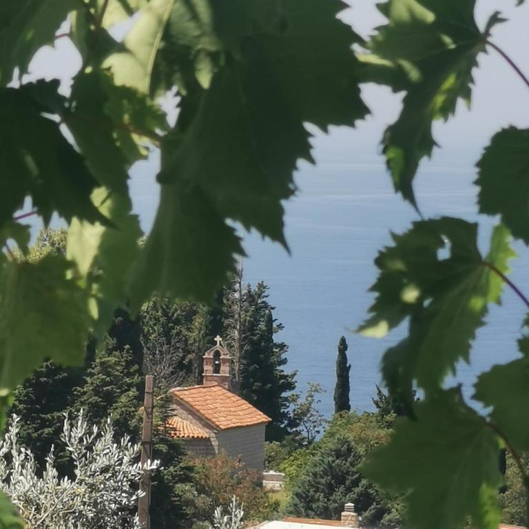 Apartman Alba - Apartman sa 2 Spavaće Sobe - 7