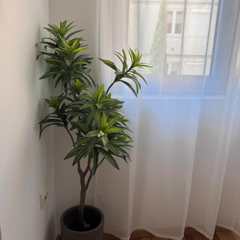 Apartment Stefana - Apartment mit 2 Schlafzimmern - 21