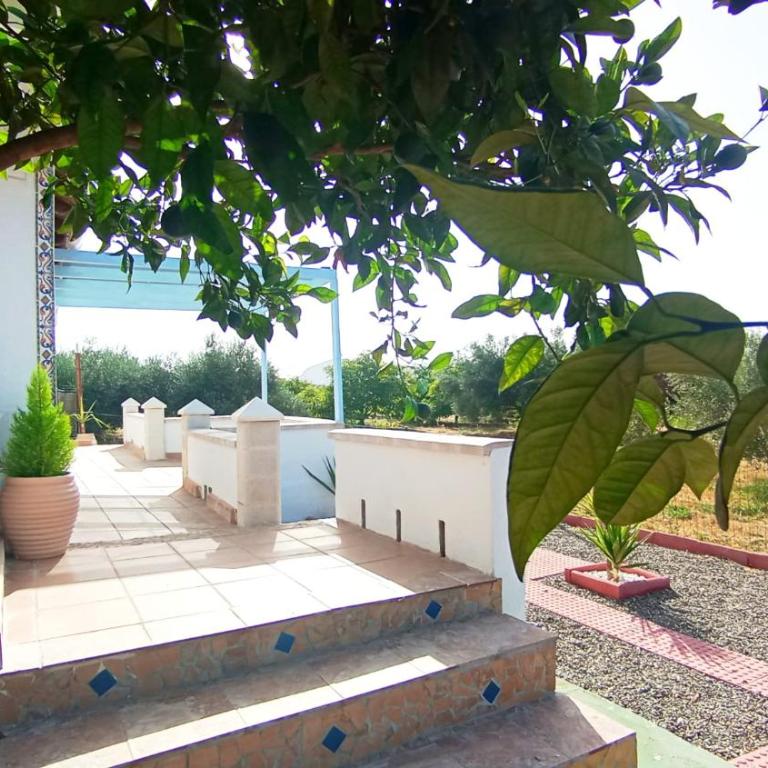 Finca el Aulagar 1 - Casa de 2 dormitorios - 3