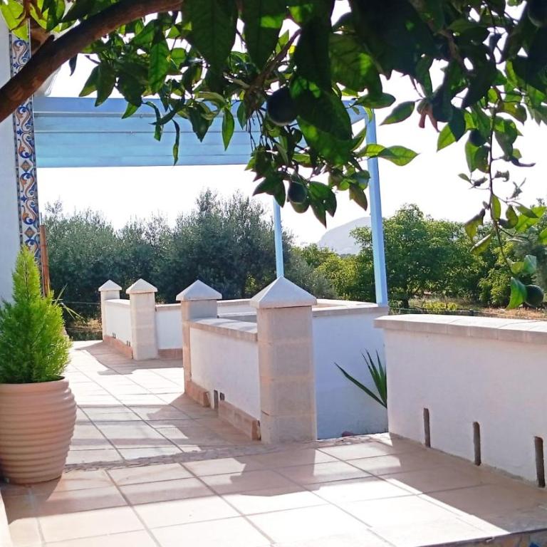 Finca el Aulagar 1 - Casa de 2 dormitorios - 4