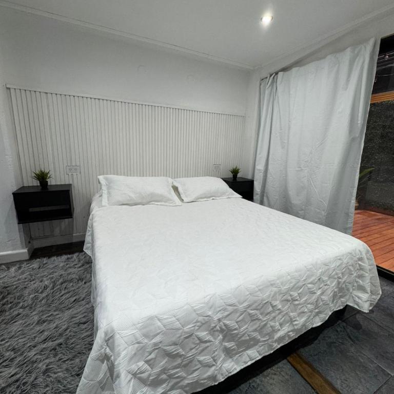 Cuyano Loft - Apartamento de 1 dormitorio - 1