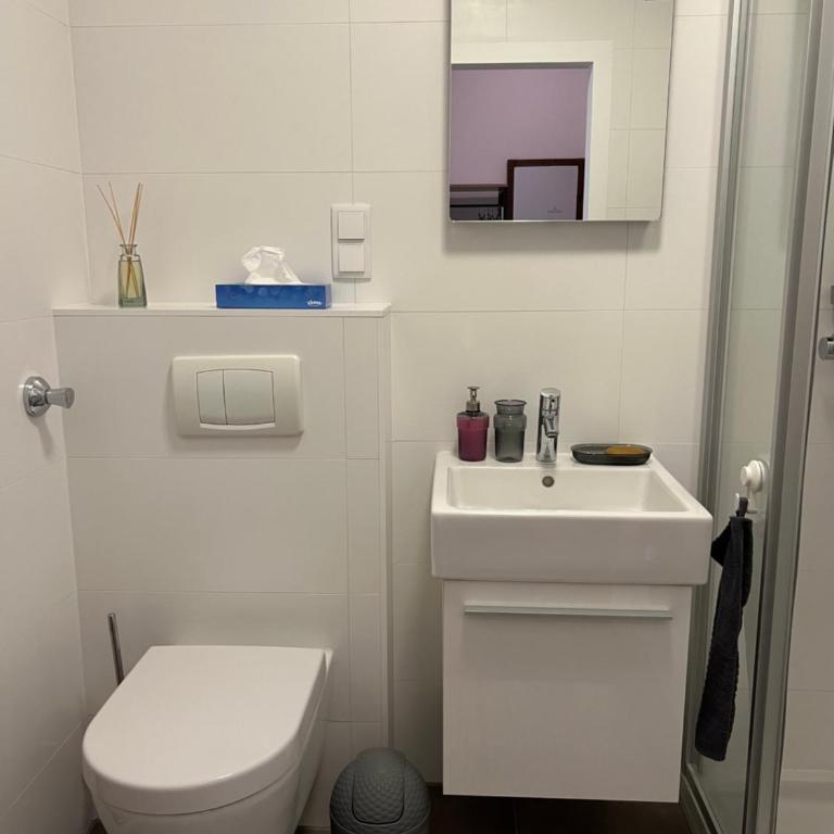 Garconniere mit Wohlfühlcharakter - One-Bedroom Apartment - 9