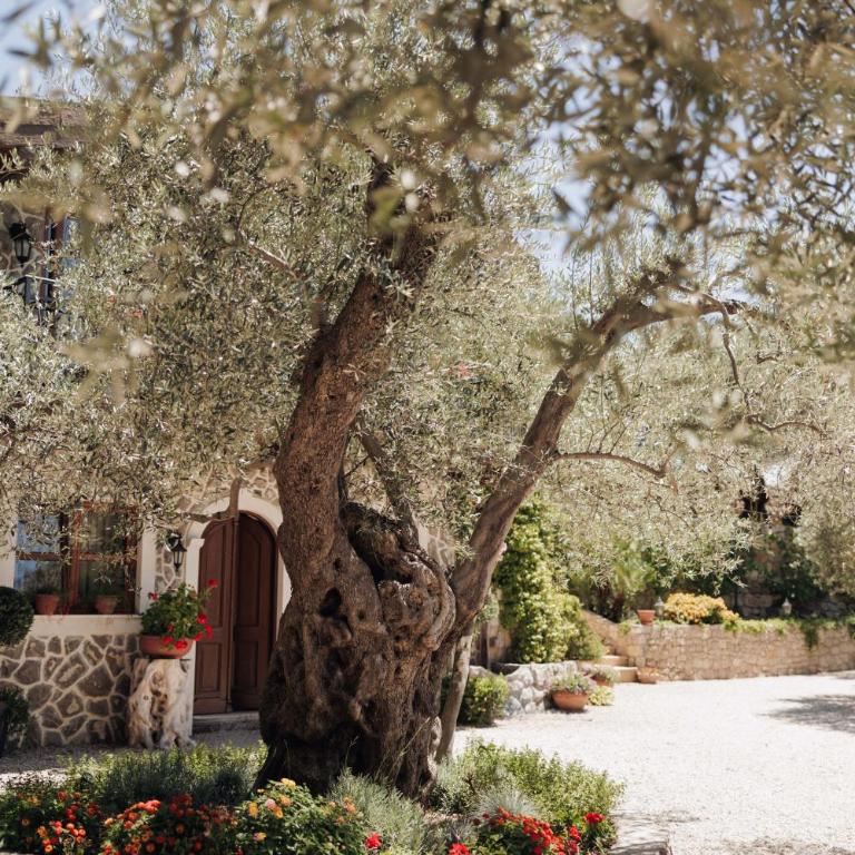 OLIVE QUEEN Rustic Estate - Two-Bedroom House - 8